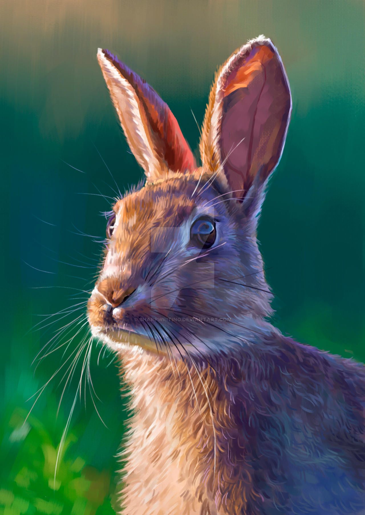 Rabbit by sharpwriting on DeviantArt