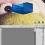 +Photoshop Lite CS5