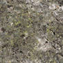 Seamless texture - Stone and Lichen #5