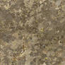 Seamless texture - Stone and Lichen #4