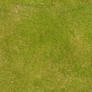 Seamless texture - Grass #3