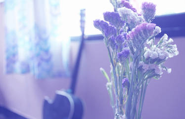 music and flowers