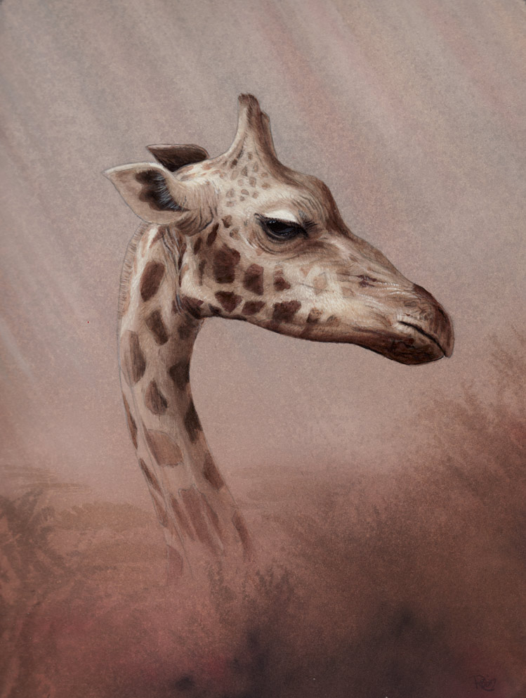 Giraffe