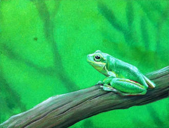 Frog Painting