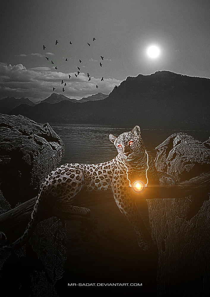 Tiger of Light by Mr-Sadat