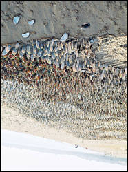 Beach art exhibit in Goa, one