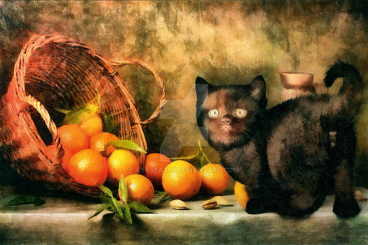 Still Life with Cat