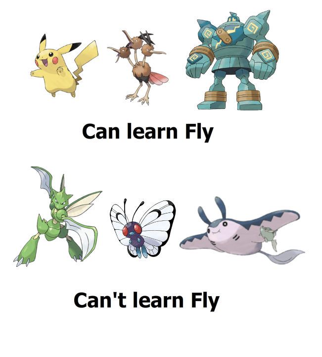 HM Fly Logic