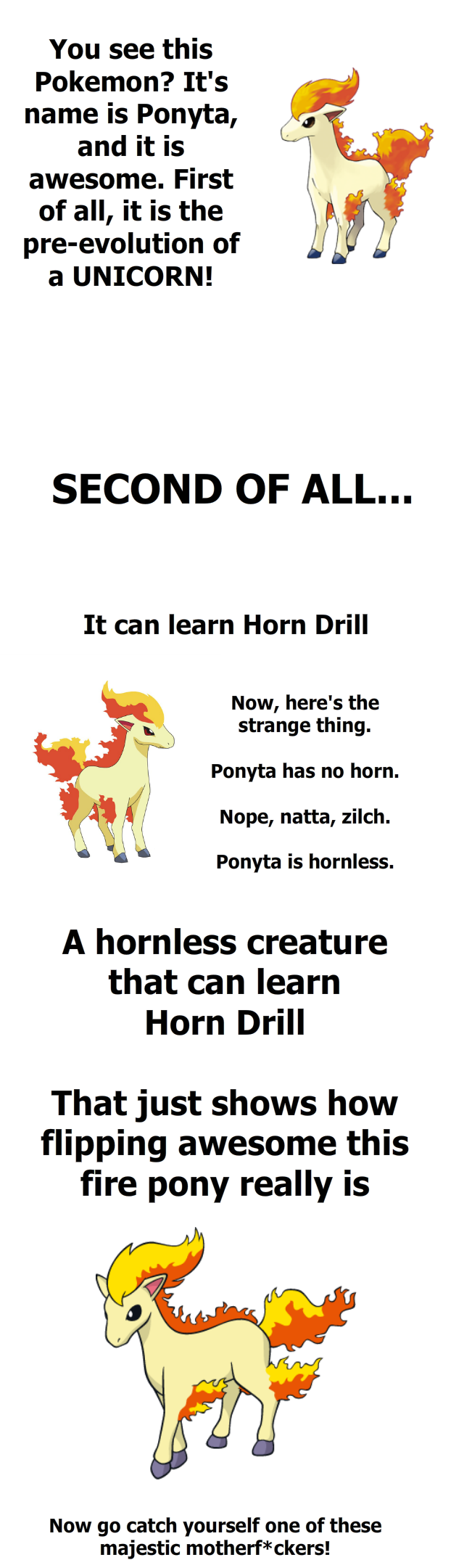 Ponyta is so Awesome