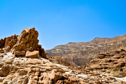 Desert Rock XII