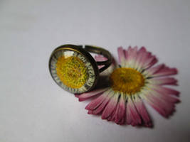 Daisy blossom ring