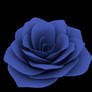 Blue Rose2