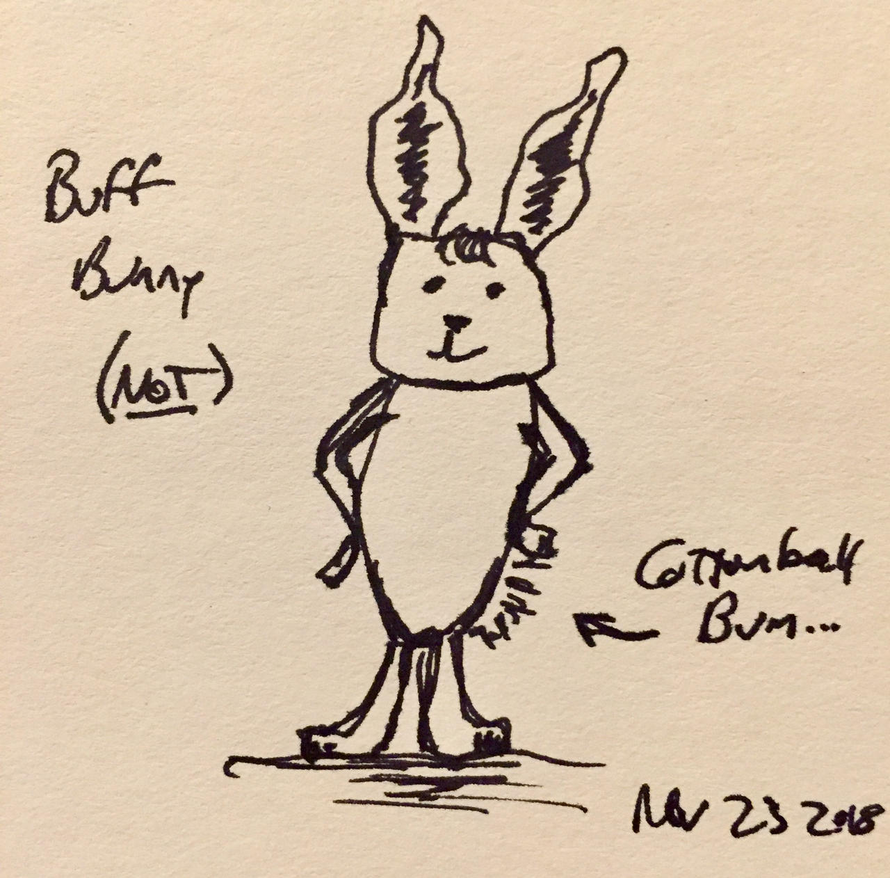 Buff Bunny by model88 on DeviantArt