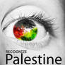 Recognize Palestine