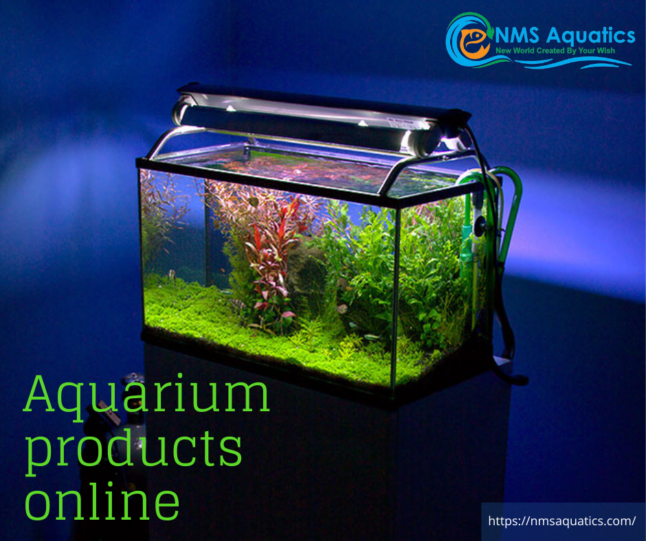 Wish sales aquarium products