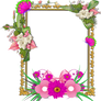 frame PNG