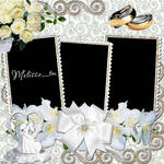 white wedding roses frame