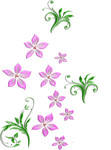 flowers png
