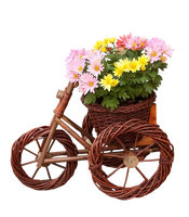 bicycle with flowers png