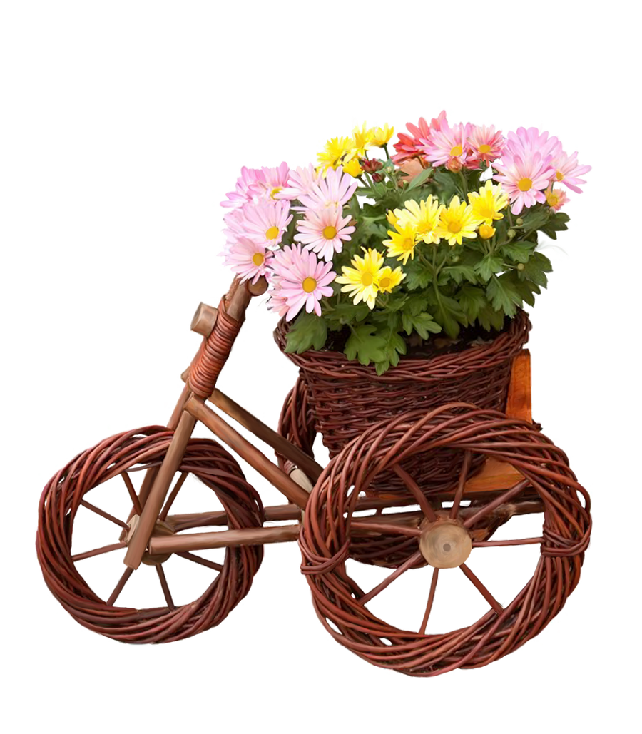 bicycle with flowers png