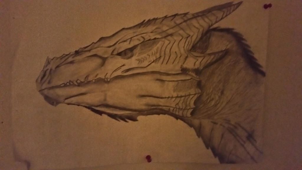 Shell Dragn Shelled Dragon by BavonBacon on DeviantArt