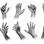 Anatomical Study: Hands