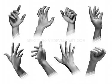 Anatomical Study: Hands