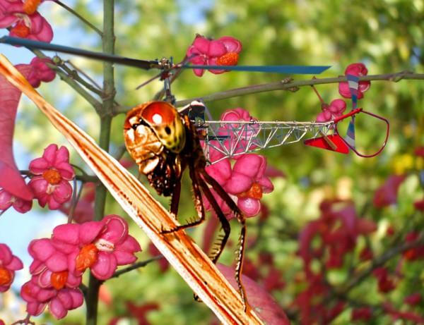 Deviantart Compostfly copterFly by CaptainScratch on DeviantArt