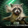 Raccoons Strike Back