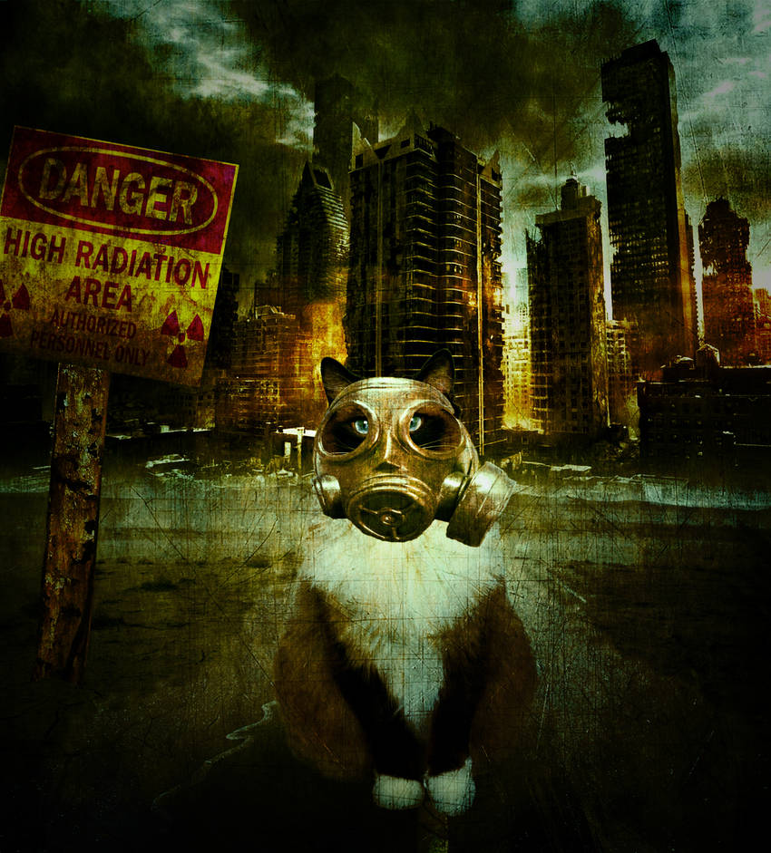 Fallout Muppet Fallout Kitty by CaptainScratch on DeviantArt