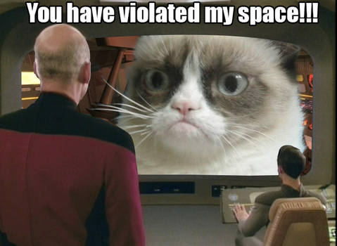 Grumpy Space Cat