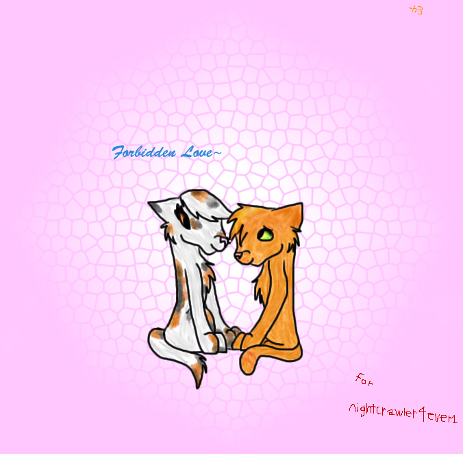 ~Forbidden Love~ FirepawxSpottedleaf