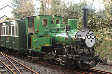 Forest Railway Engine No4 Heather