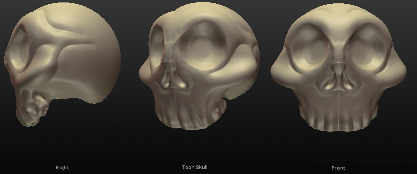 3D Toon Skull