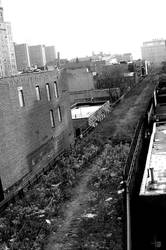 Abandoned railway