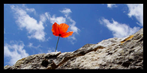 mountain climber