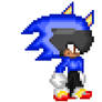 Guess What Sonic YouTube Gamer Am I