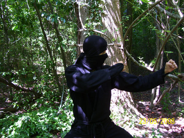 ninja posture by jonin86 on DeviantArt