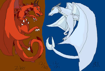 Dragons-Fire and Ice by Shinkou-san
