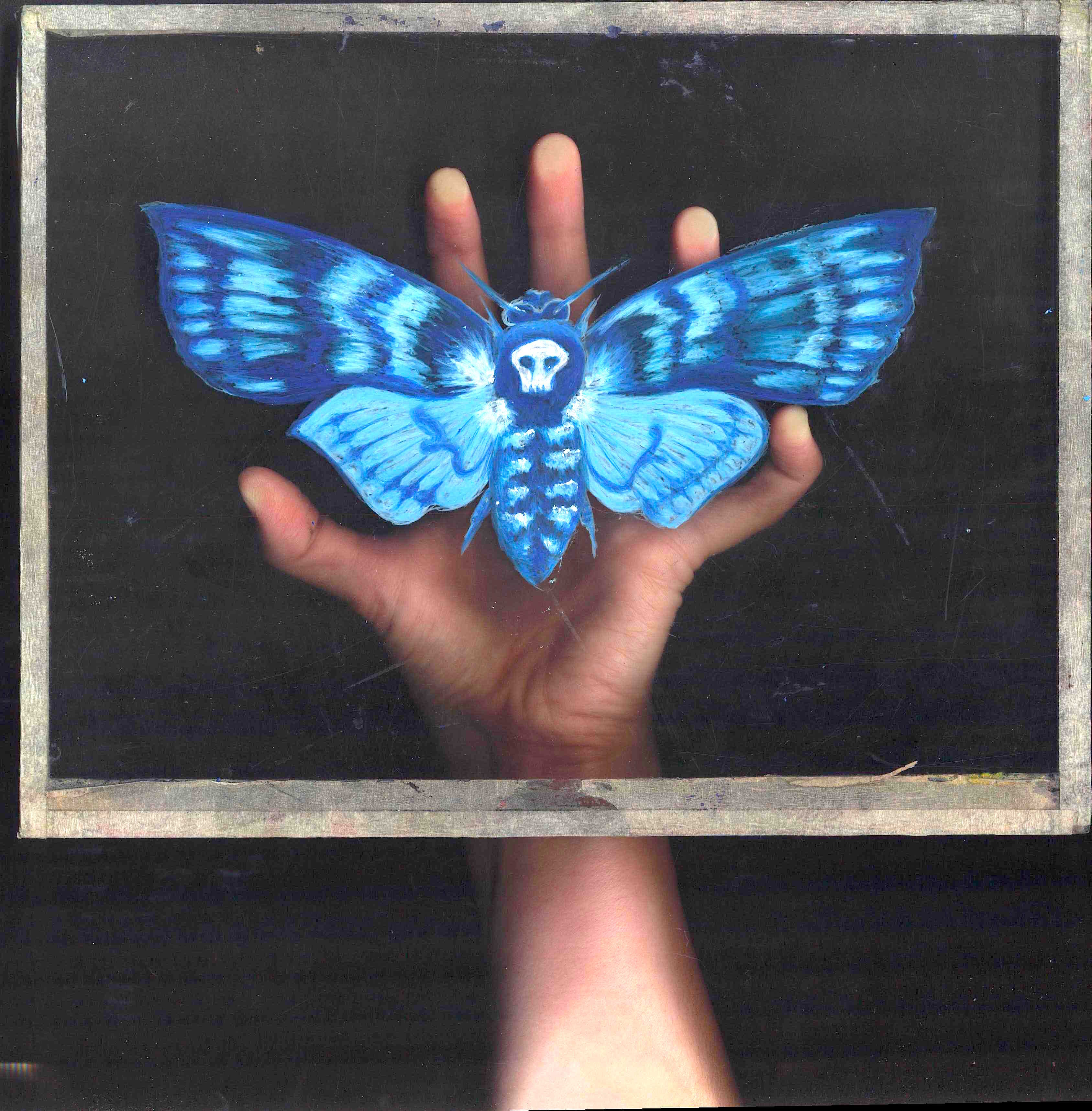 Death moth preview pic