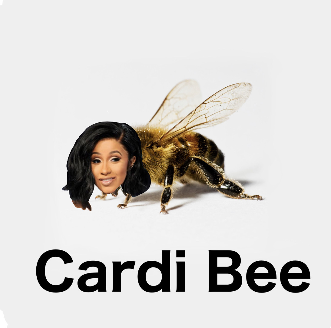 Carda Bee Cardi Bee by DudoludoArts on DeviantArt