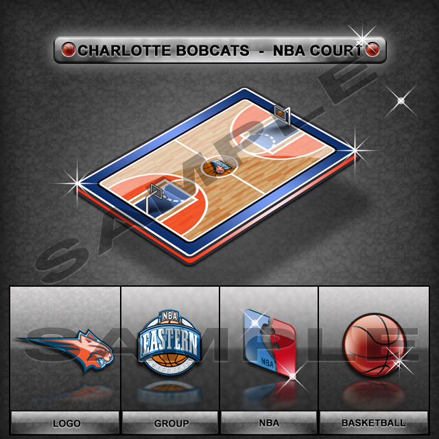 Charlotte Bobcats Court