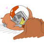 Comfy Pillows Request