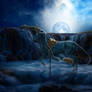 Star Chaser
