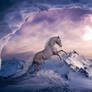 Forever Winter