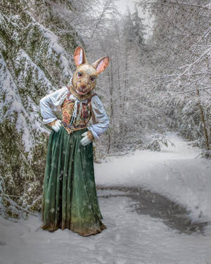 Winter Welcome by NTGreen Winter Welcome by NTGreen