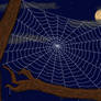 Just a Spiders Web