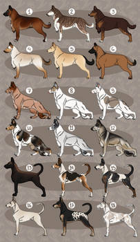 Rifles, Rifles from all sides (2/16) OPEN