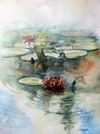 lotus lake by sumanprajapati
