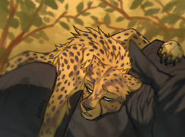 Redraw: Hang on, Cheetor